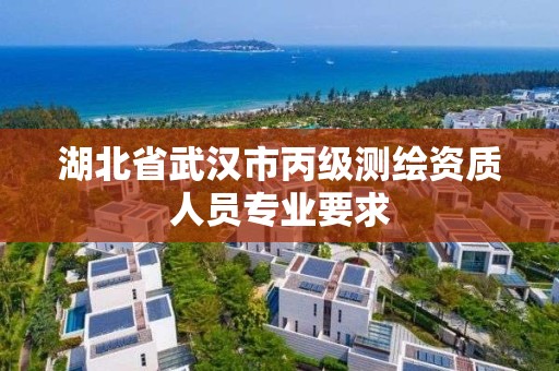 湖北省武汉市丙级测绘资质人员专业要求