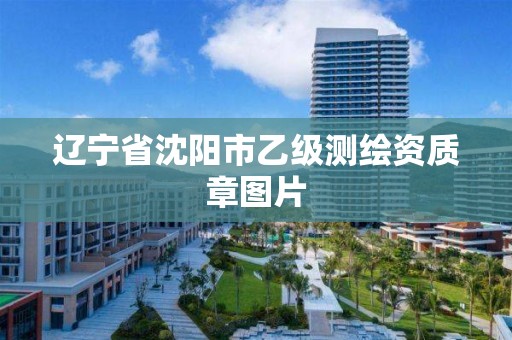 辽宁省沈阳市乙级测绘资质章图片