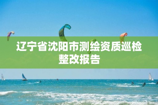 辽宁省沈阳市测绘资质巡检整改报告