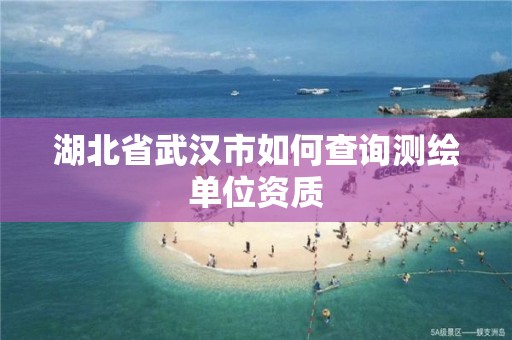 湖北省武汉市如何查询测绘单位资质