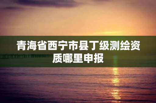 青海省西宁市县丁级测绘资质哪里申报