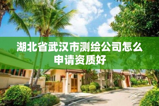 湖北省武汉市测绘公司怎么申请资质好