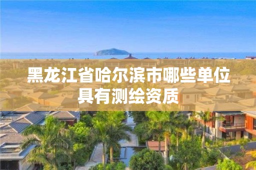 黑龙江省哈尔滨市哪些单位具有测绘资质