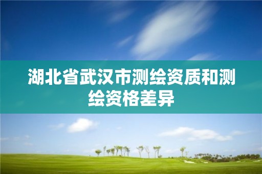 湖北省武汉市测绘资质和测绘资格差异