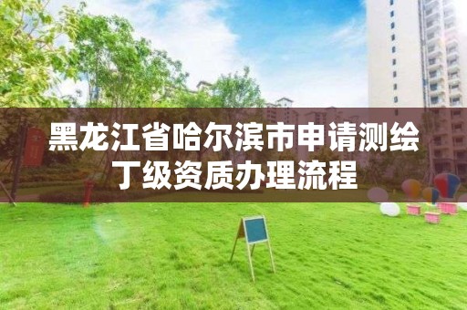 黑龙江省哈尔滨市申请测绘丁级资质办理流程