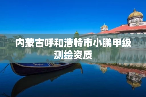 内蒙古呼和浩特市小鹏甲级测绘资质 内蒙古呼和浩特市小鹏甲级测绘资质