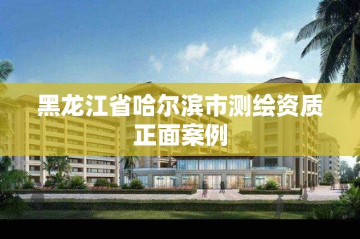 黑龙江省哈尔滨市测绘资质正面案例