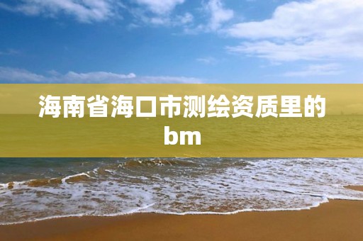 海南省海口市测绘资质里的bm