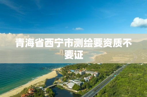 青海省西宁市测绘要资质不要证