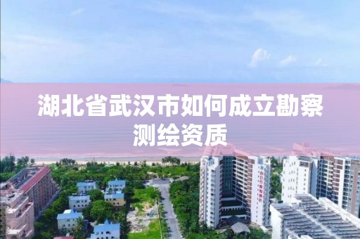 湖北省武汉市如何成立勘察测绘资质