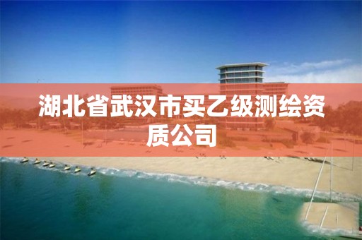 湖北省武汉市买乙级测绘资质公司