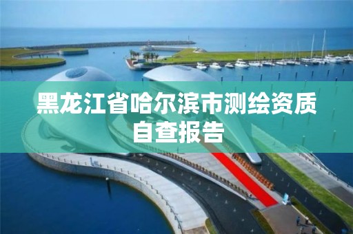 黑龙江省哈尔滨市测绘资质自查报告