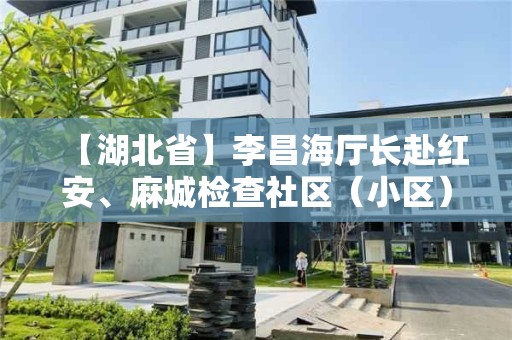 【湖北省】李昌海厅长赴红安、麻城检查社区（小区）封闭管理工作