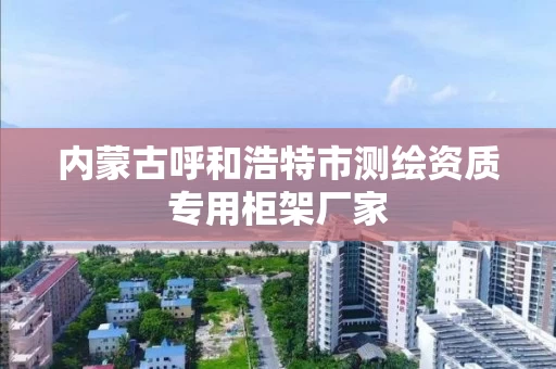内蒙古呼和浩特市测绘资质专用柜架厂家 内蒙古呼和浩特市测绘资质专用柜架厂家