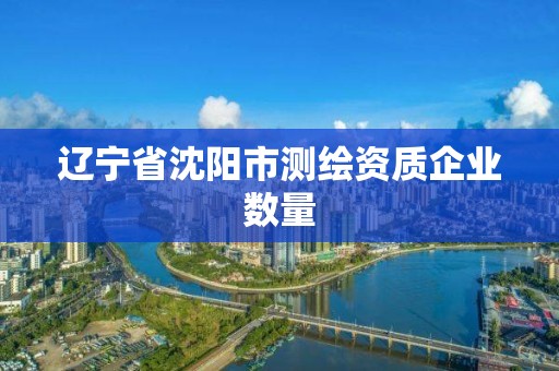 辽宁省沈阳市测绘资质企业数量