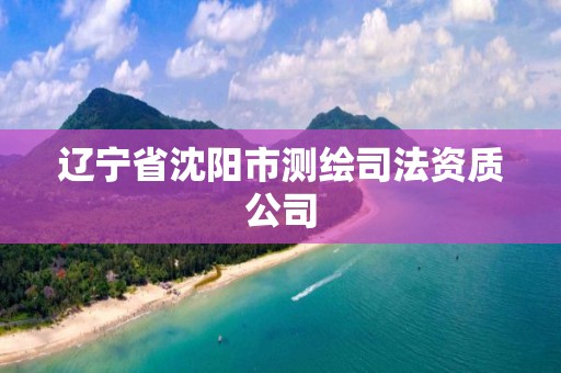 辽宁省沈阳市测绘司法资质公司