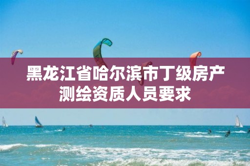 黑龙江省哈尔滨市丁级房产测绘资质人员要求