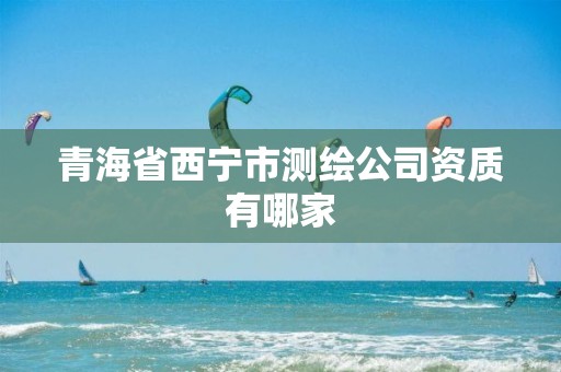 青海省西宁市测绘公司资质有哪家