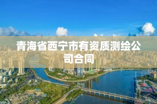 青海省西宁市有资质测绘公司合同