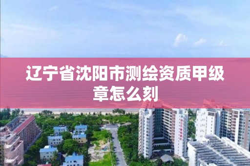 辽宁省沈阳市测绘资质甲级章怎么刻