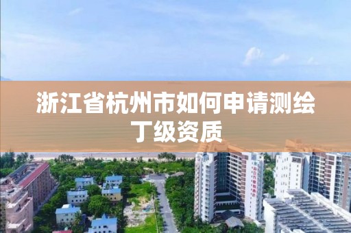 浙江省杭州市如何申请测绘丁级资质