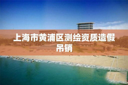 上海市黄浦区测绘资质造假吊销