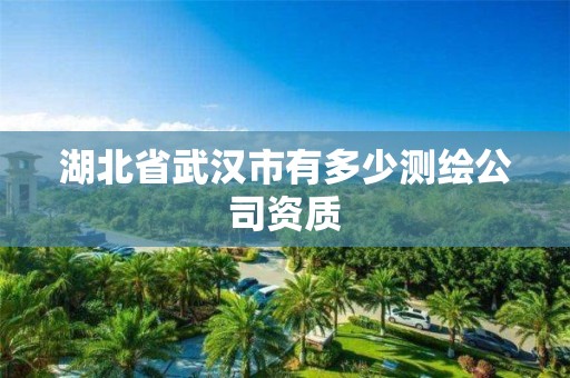 湖北省武汉市有多少测绘公司资质