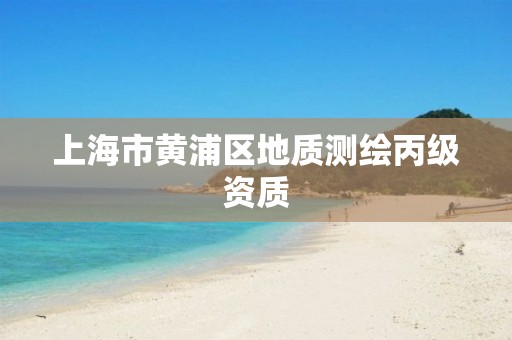 上海市黄浦区地质测绘丙级资质