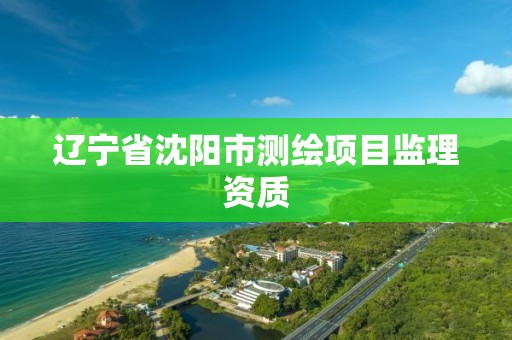 辽宁省沈阳市测绘项目监理资质