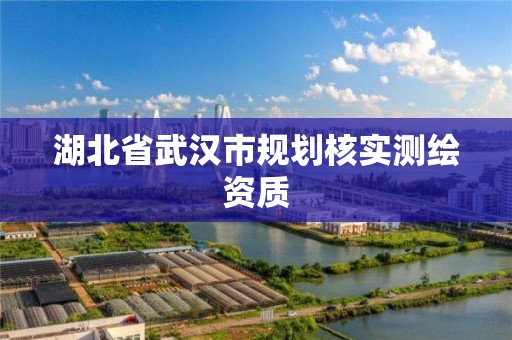 湖北省武汉市规划核实测绘资质