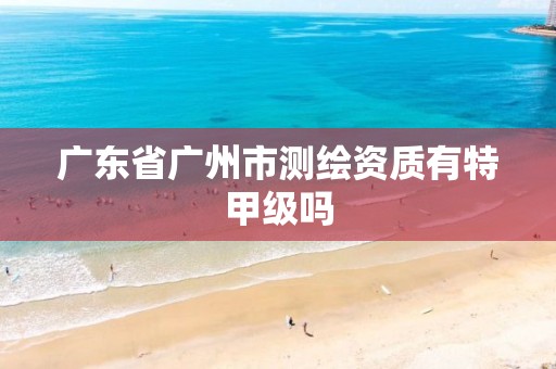 广东省广州市测绘资质有特甲级吗