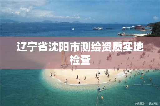 辽宁省沈阳市测绘资质实地检查