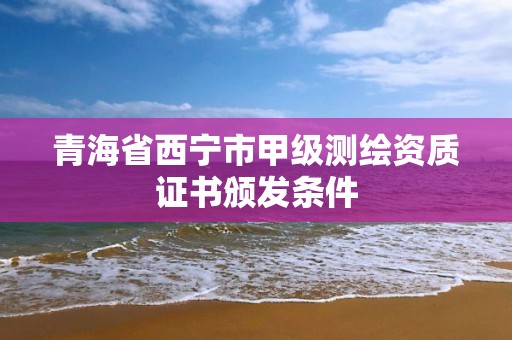 青海省西宁市甲级测绘资质证书颁发条件