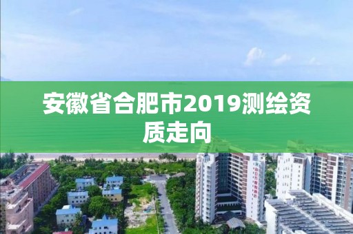 安徽省合肥市2019测绘资质走向