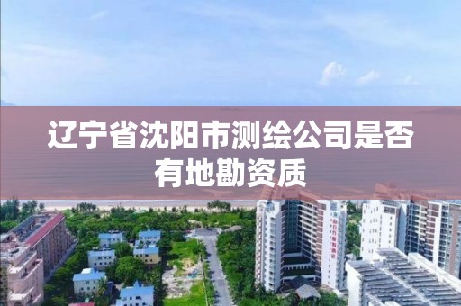 辽宁省沈阳市测绘公司是否有地勘资质