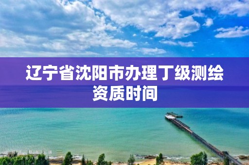 辽宁省沈阳市办理丁级测绘资质时间