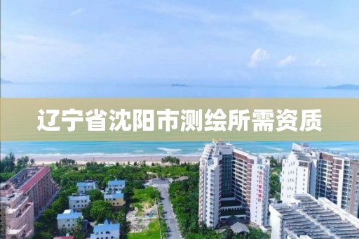 辽宁省沈阳市测绘所需资质