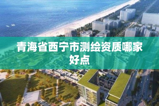 青海省西宁市测绘资质哪家好点