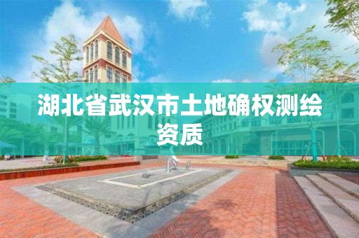 湖北省武汉市土地确权测绘资质