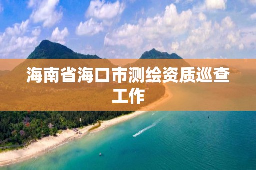 海南省海口市测绘资质巡查工作