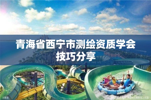 青海省西宁市测绘资质学会技巧分享