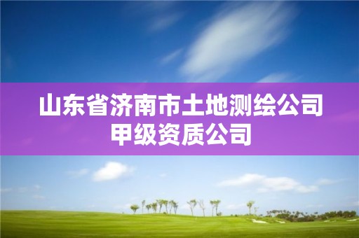 山东省济南市土地测绘公司甲级资质公司