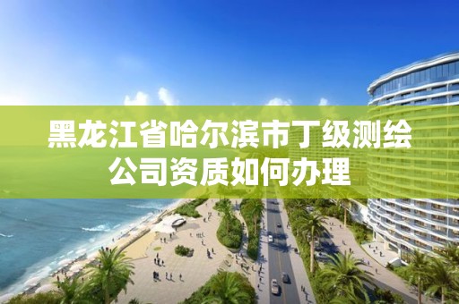 黑龙江省哈尔滨市丁级测绘公司资质如何办理