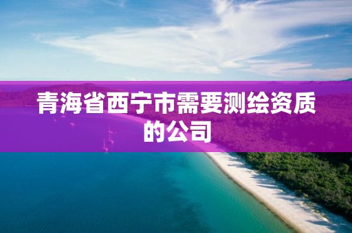 青海省西宁市需要测绘资质的公司