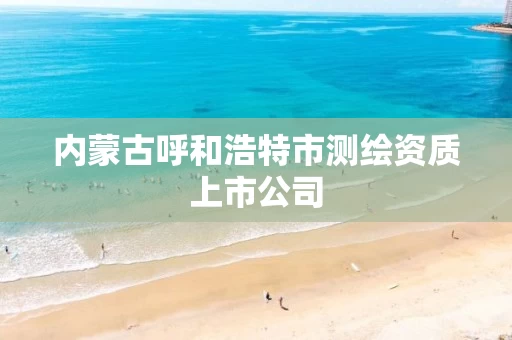 内蒙古呼和浩特市测绘资质上市公司 内蒙古呼和浩特市测绘资质上市公司