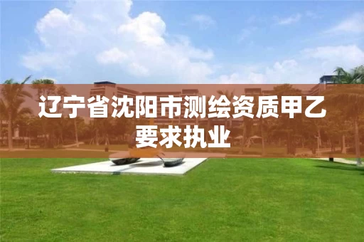 辽宁省沈阳市测绘资质甲乙要求执业 辽宁省沈阳市测绘资质甲乙要求执业