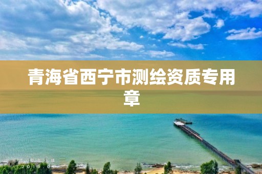 青海省西宁市测绘资质专用章