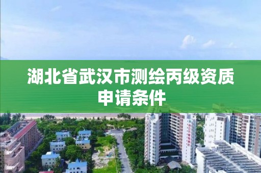 湖北省武汉市测绘丙级资质申请条件