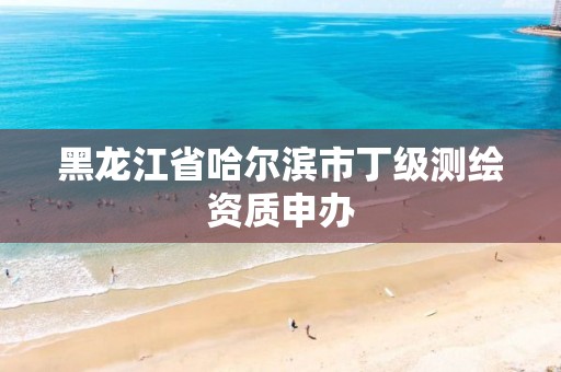 黑龙江省哈尔滨市丁级测绘资质申办