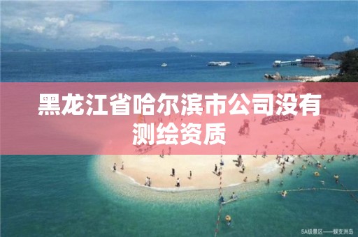 黑龙江省哈尔滨市公司没有测绘资质